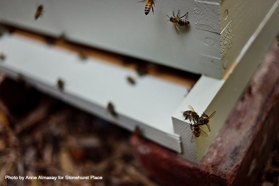 2014-10-08-Hives.jpg