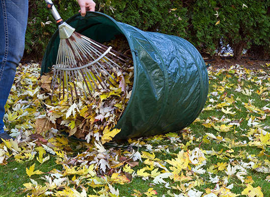 Winterize Your Lawn and Garden in 7 Steps | HuffPost Life