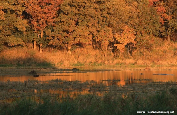 2014-10-08-hennepincanal.jpg