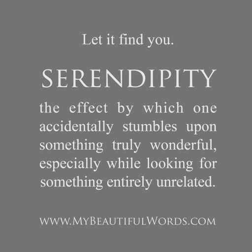 Courting Life's Treasures Through Serendipity  HuffPost