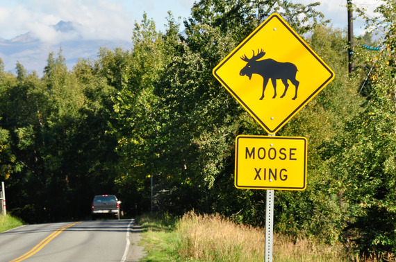 2014-10-13-MooseCrossingsign.jpg