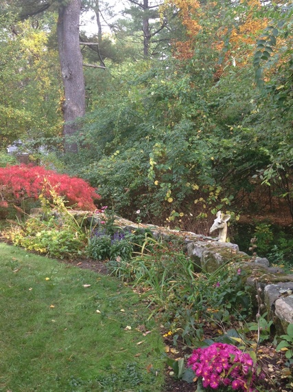 2014-10-13-TippetGarden.jpg