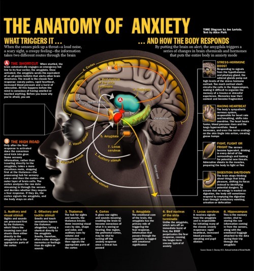 2014-10-14-brain_stress.jpg