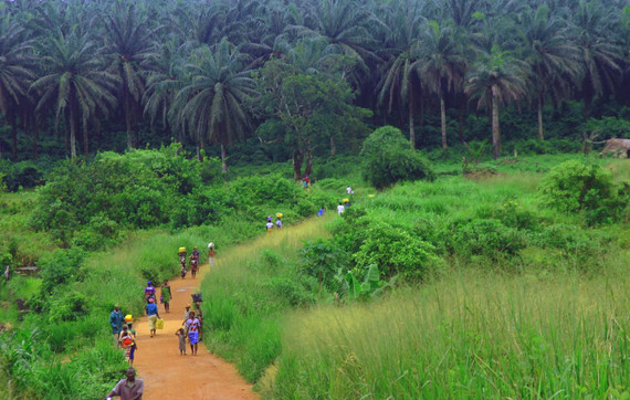 2014-10-16-KenemaKailahun_Road.jpg