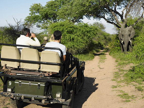 2014-10-16-KrugerNationalParkshutterstock_145434493.jpg