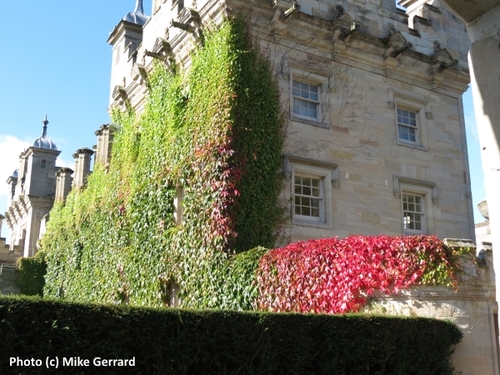 2014-10-18-Floors_Castle_exterior.jpg