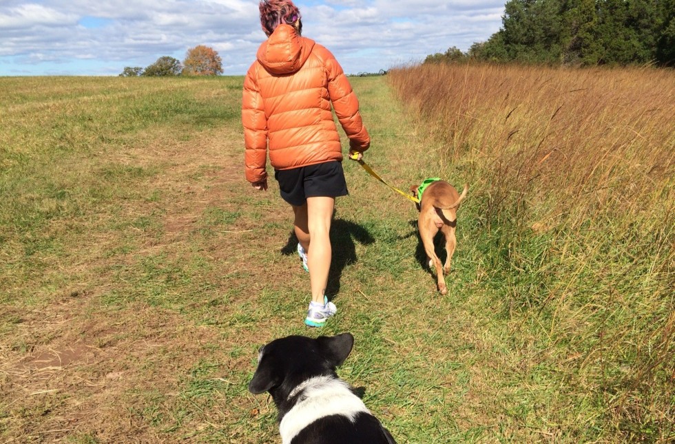 New BARK Ranger program at Sandburg Home promotes safe hiking