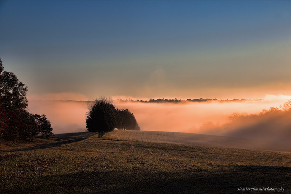 2014-10-25-HidridgeFog028BWFogandSunoverTreesColorLR.jpg