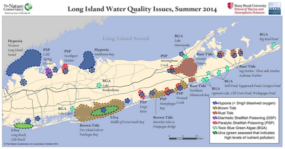 Can Long Island Be Saved? -- Part X: Governor Cuomo Announces An Action ...