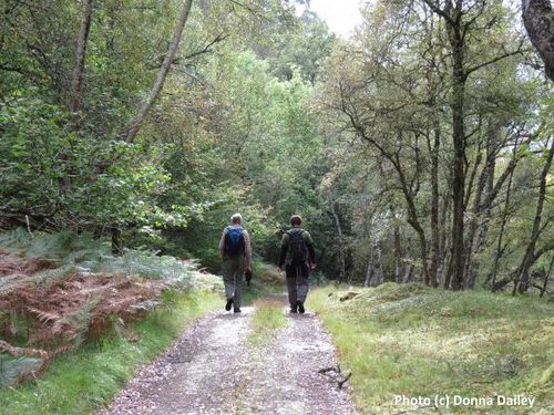 2014-10-30-Caledonian_Canal_Cruise_7_Walking_In_the_Woods.jpg