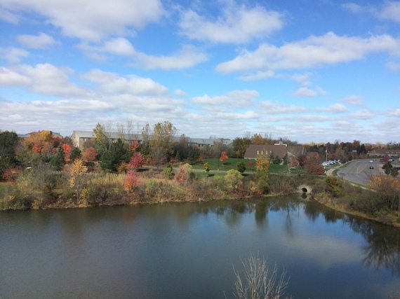 2014-10-30-MichiganLandscape.JPG