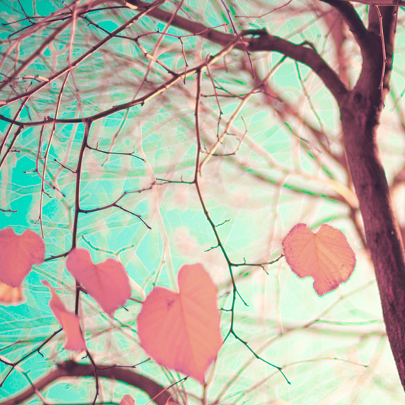 2014-11-02-Loveleaves.jpg