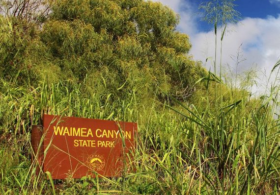 2014-11-04-WaimeaCanyonsign800x559.jpg