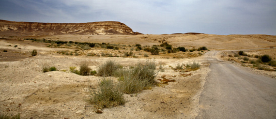 2014-11-11-desertroad.jpg