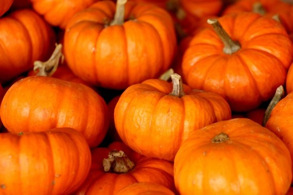 2014-11-12-pumpkinsstacked.jpg