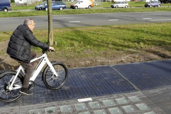 2014-11-13-DutchsolarpanelbikepathEarthDrReeseHalter