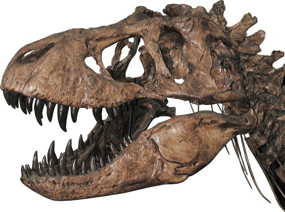 2014-11-14-trex.jpg