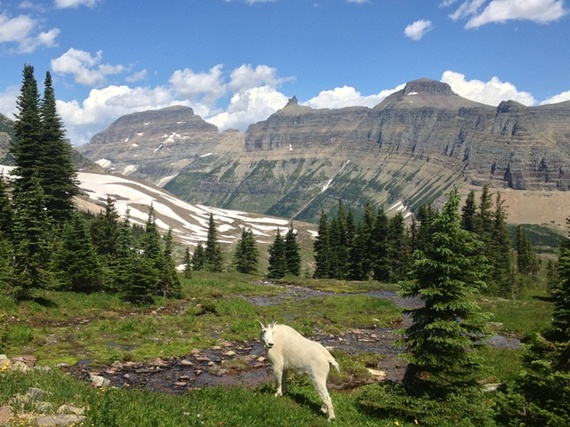 2014-11-17-GlacierNationalPark.jpgreduced.jpg