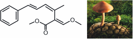 2014-11-18-20141118chem03_daconil_05.png