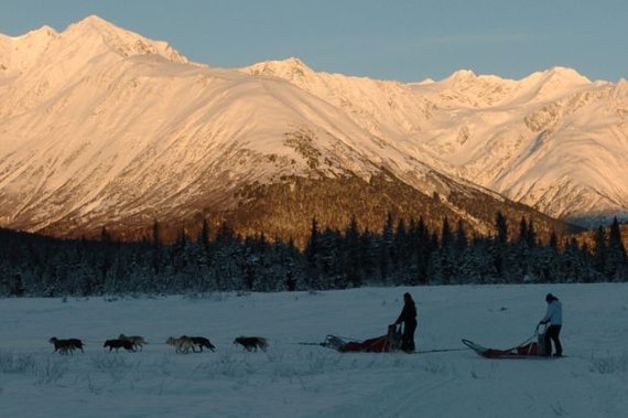 2014-11-19-Dogsled13x2.jpg