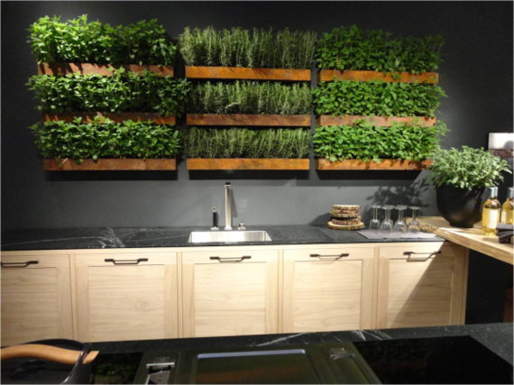 2014-11-20-PHGindoorkitchenurbangardening.png