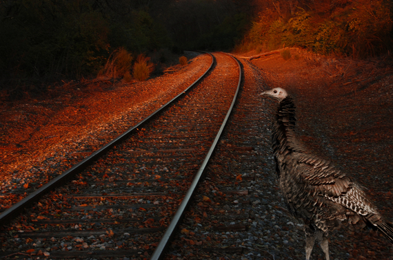 2014-11-27-RailroadTurkeyorigin.jpg