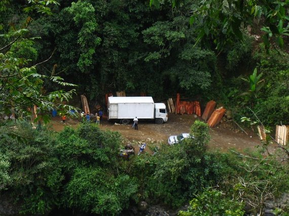 2014-12-03-Ecuador_illegallogging.jpg