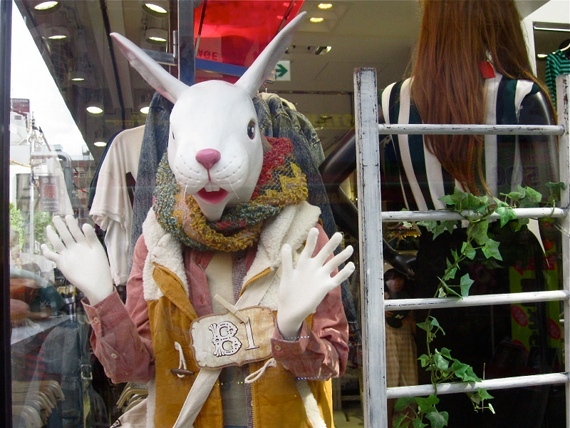 2014-12-12-Rabbit1.JPG