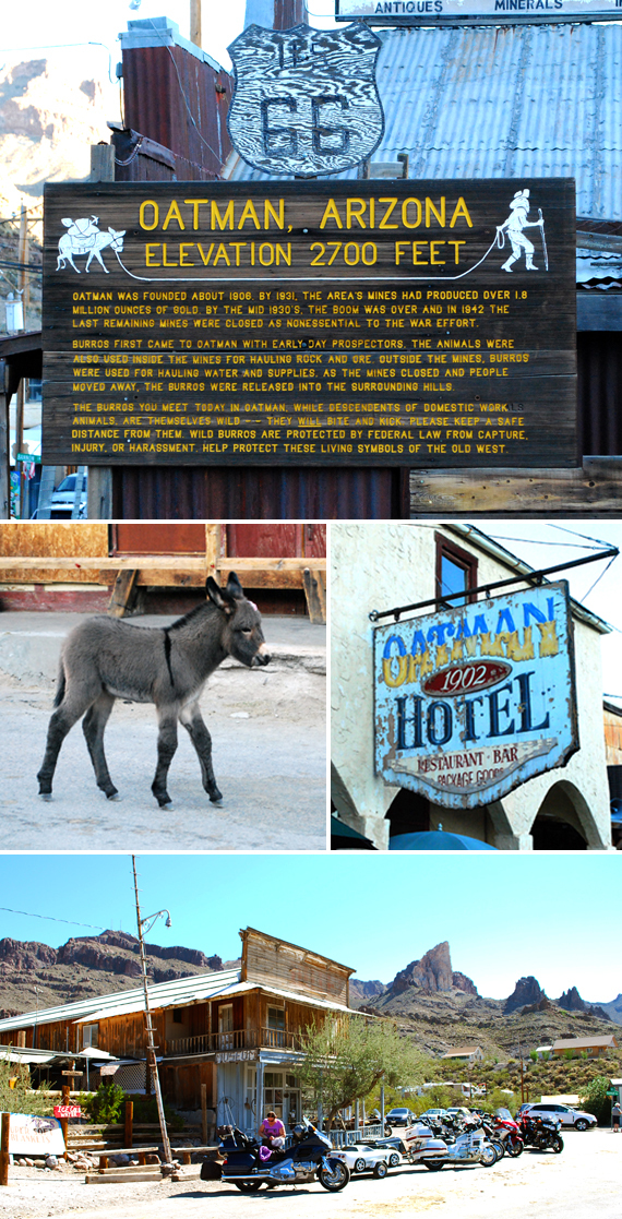 2014-12-13-Oatmanmontage.jpg