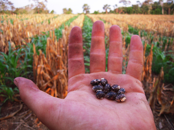 2014-12-15-beansinhand.jpg