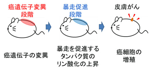 2014-12-17-scienceportalmouse.jpg