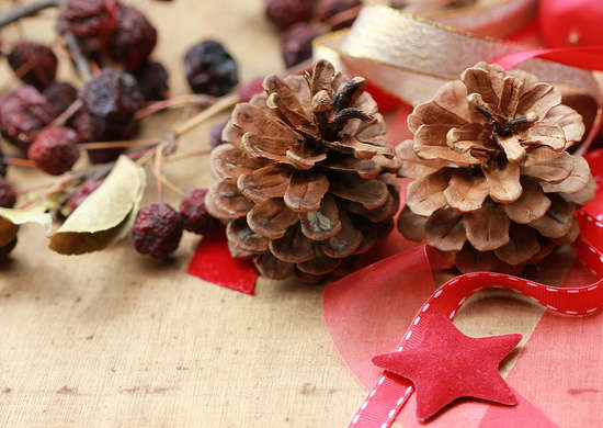 2014-12-19-Fake_PineCones.jpg