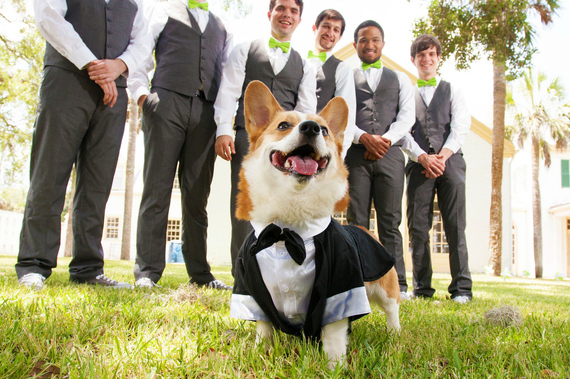 2014-12-19-corgiwedding.jpg