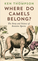 2014-12-21-Camels.png