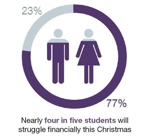 Student christmas survey