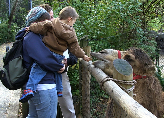 2014-12-22-LittleBoyFeedingCamel.jpg