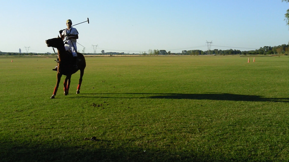 2014-12-28-Polo3.jpg