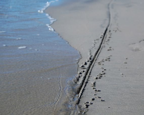 2015-01-01-lineinsand.jpg