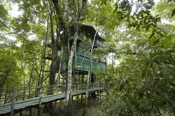 2015-01-12-AriauAmazon.JPG