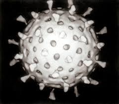 2015-01-12-rotavirus.jpg