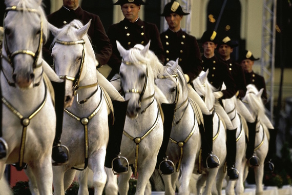 2015-01-12-vienna_LipizzanerHorses.jpg