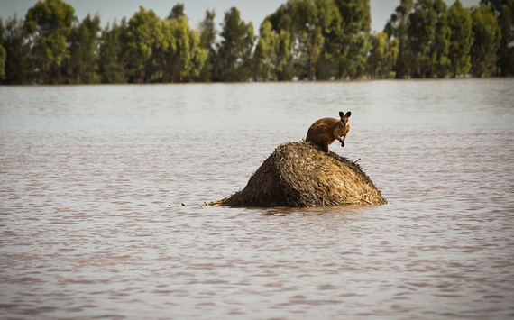 2015-01-14-ClimateDisruptionEpicFloodingAustraliaEarthDrReeseHalter