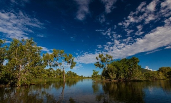 2015-01-23-CaleyWetlandsEarthDrReeseHalter