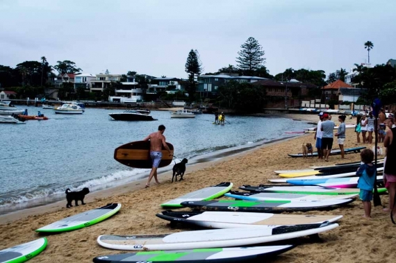 2015-01-28-7._watsons_bay_australia_day_paddle_boards_man_dog_race__1422422682_24174.jpg