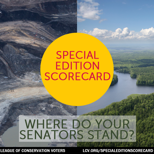 2015-02-05-specialeditionscorecard12.png