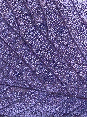 2015-02-06-Galacticfrostedleaf.jpg