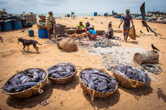 2015-02-06-TheFishermenofNegombo.SriLanka2.jpg