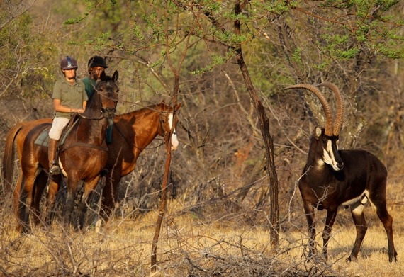 2015-02-09-Horseriding29.JPG