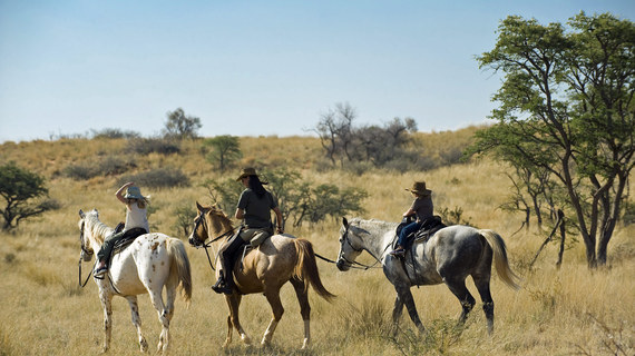 2015-02-09-Horsesafari.jpg