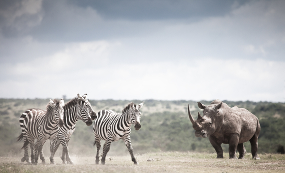 2015-02-09-Kenya6135.jpg